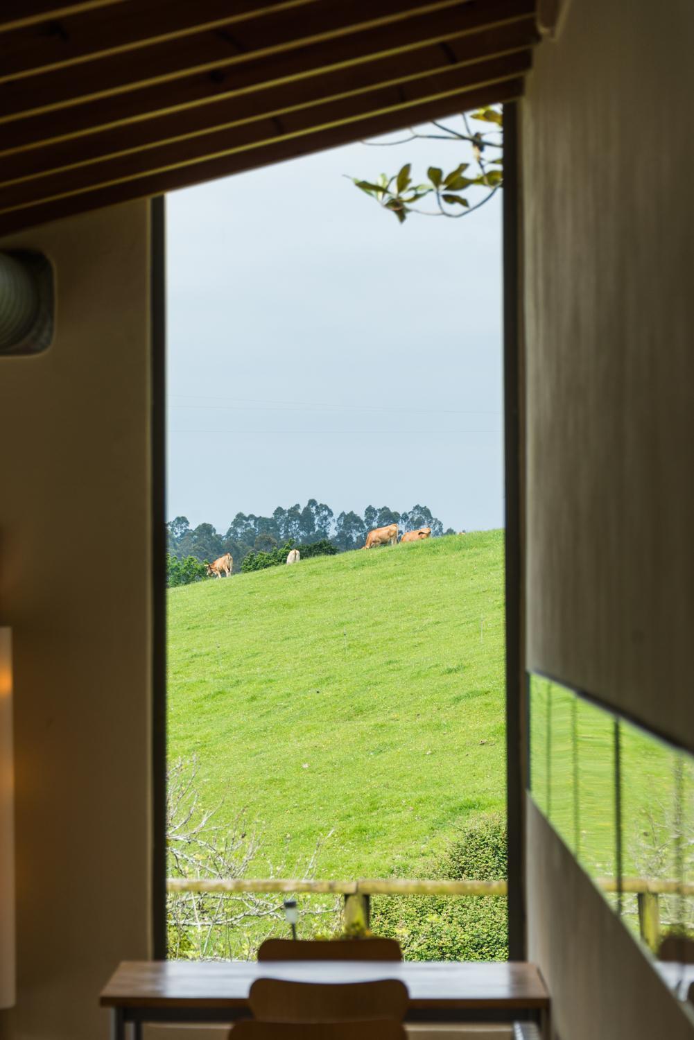 Hotel El Babu Caravia Eksteriør bilde