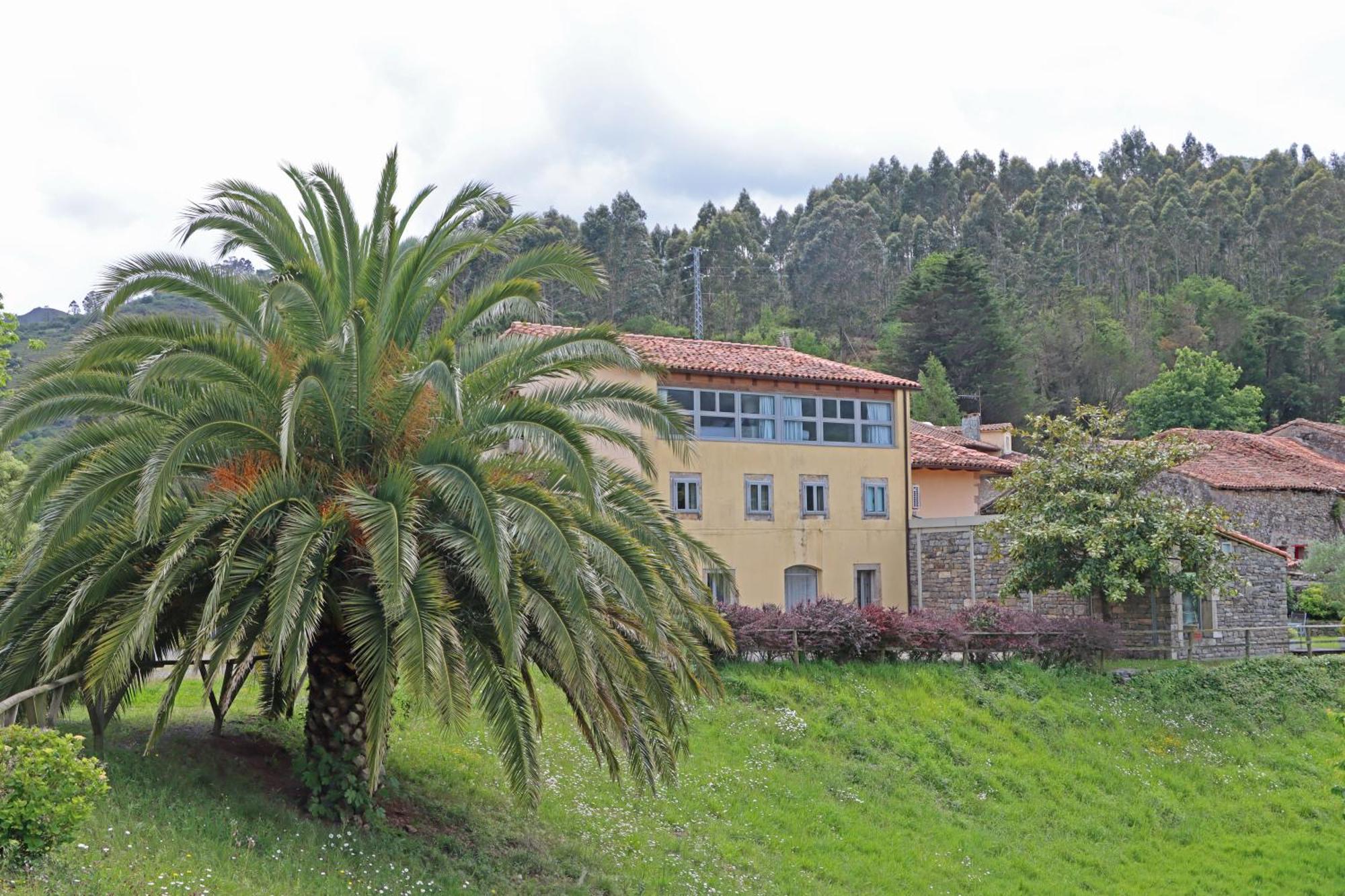 Hotel El Babu Caravia Eksteriør bilde